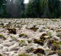 "HĽADÁME SA" - VÝSTAVA FOTOGRAFIÍ AUDIOVIZUÁLNEHO ODBORU (21. 5. - 15. 6. 2026)
